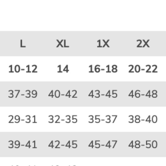 NWT R&B Collection SZ 2X Dress Handkerchief Hem A Line EXOTIC PRINT GORGEOUS! - Picture 12 of 12